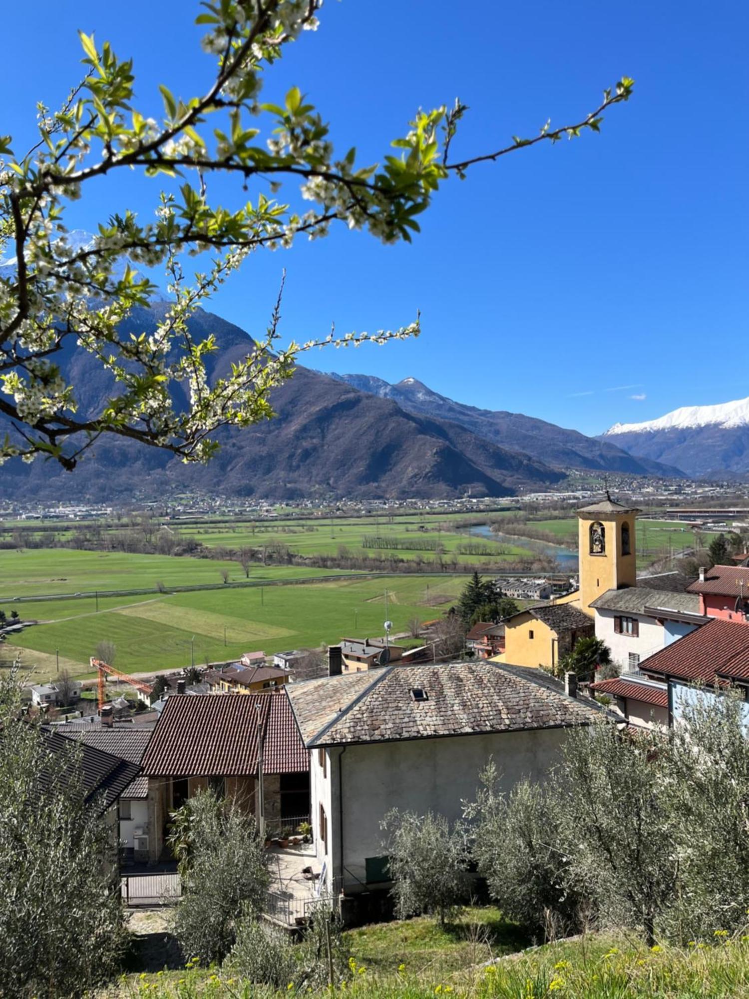 Sotto Al Bosco B&B E Azienda Agricola Dubino Exterior photo